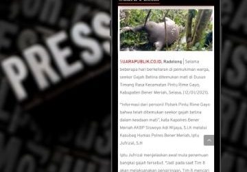 Info Pemasaran Digital Medan 11 Web media Suarapublik