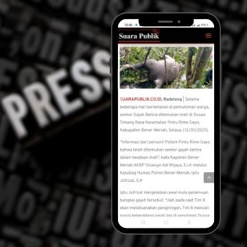 Web media Suarapublik