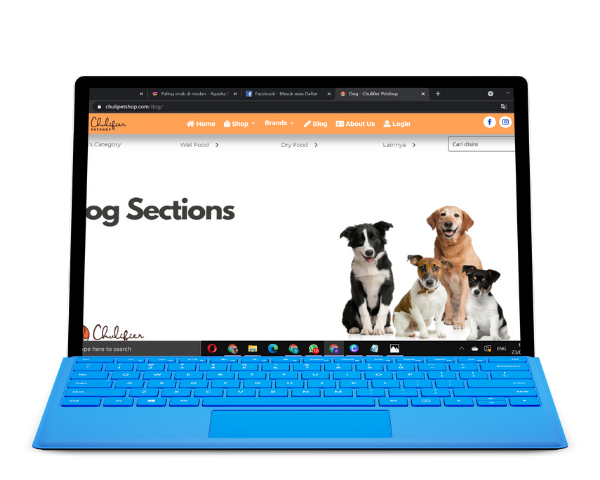 website toko online yang menjual 1