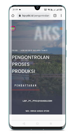 website lsp ptki