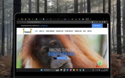 Sumatra Jungle Trekking