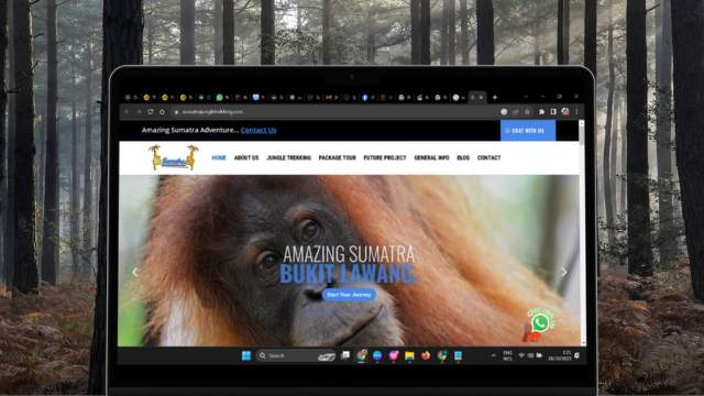 Sumatra Jungle Trekking